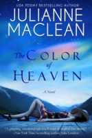 the color of heaven book cover